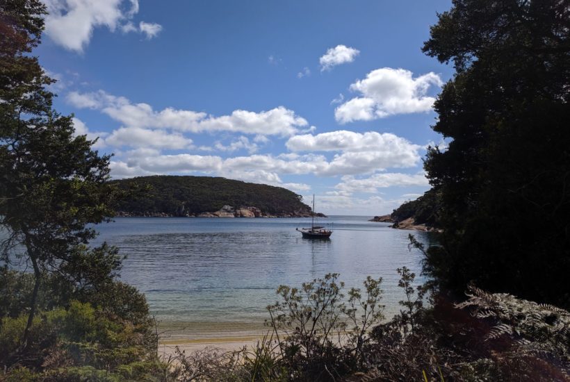 Taking Refuge in Refuge Cove