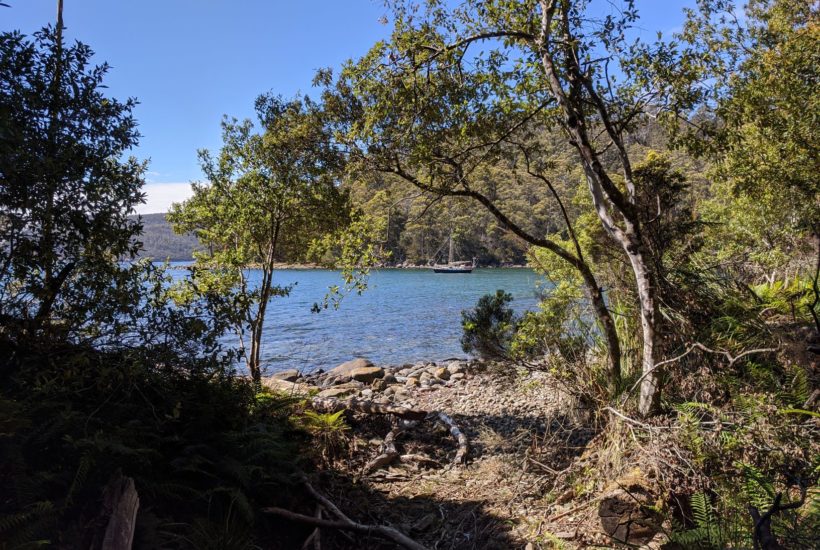 The Brief Visit to Fortescue Bay