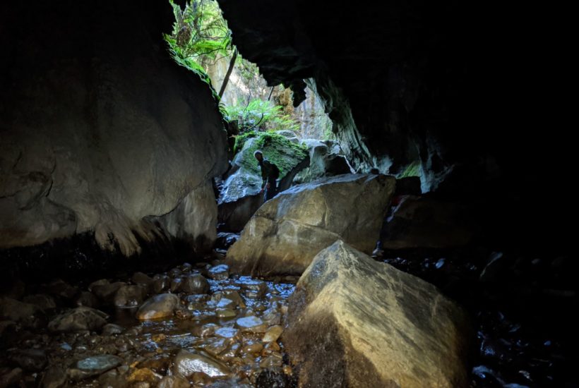 The Walk to Mystery Creek Cave