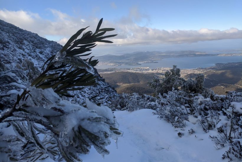 Hike to the Top of Mount Wellington