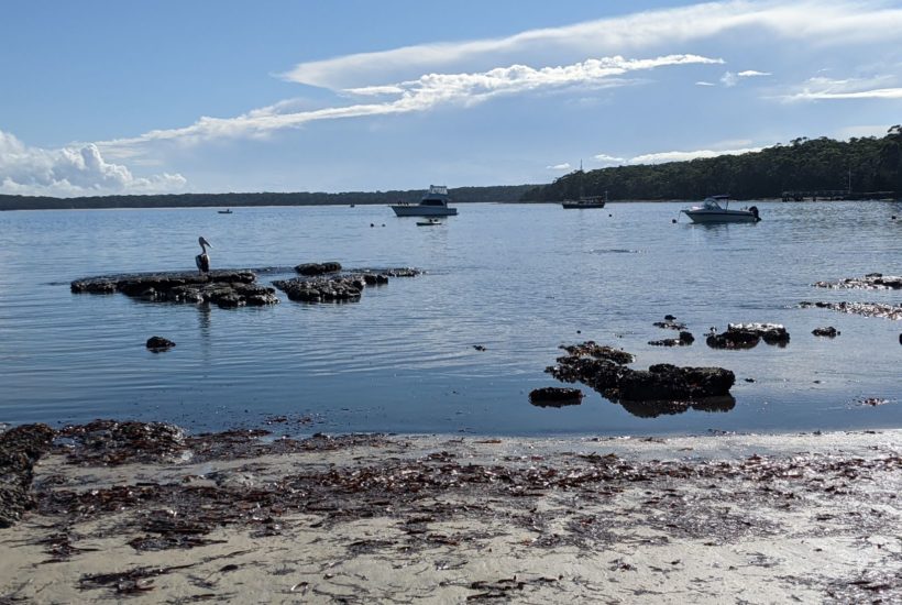 Jervis Bay and the Journey To Get There