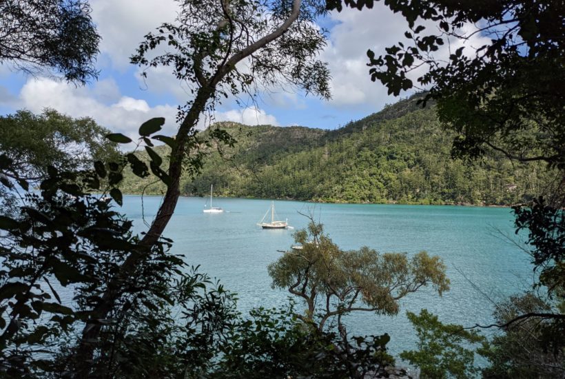 Whitsunday’s Part 1: Snorkelling on Hook Island