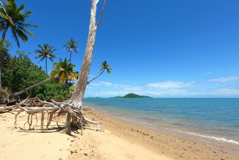 Hiking on Dunk Island