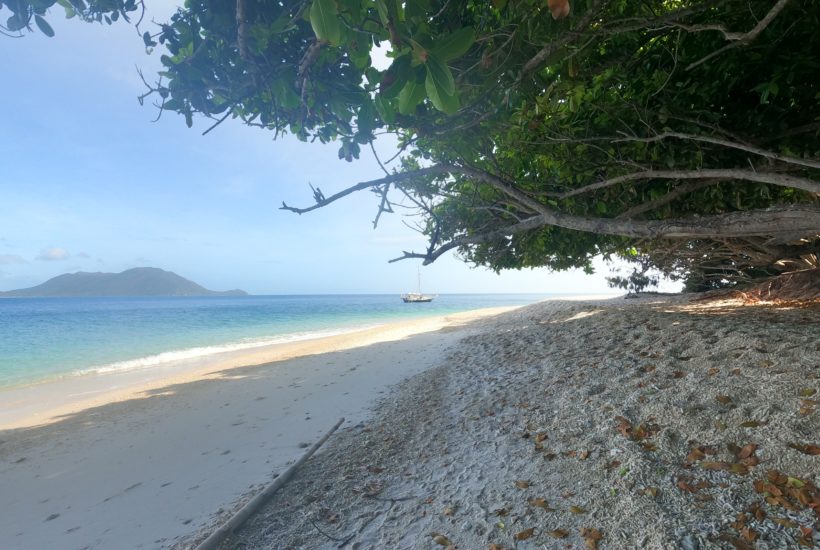 Snorkelling on Fitzroy Island